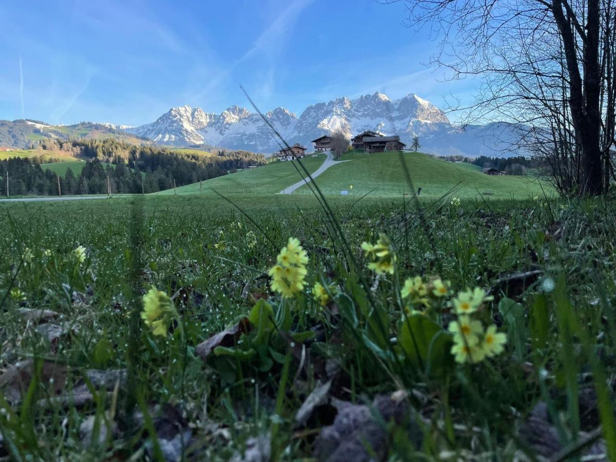 Mountain Vista - Bio Yoga Hof Lägenhet Kitzbühel Exteriör bild
