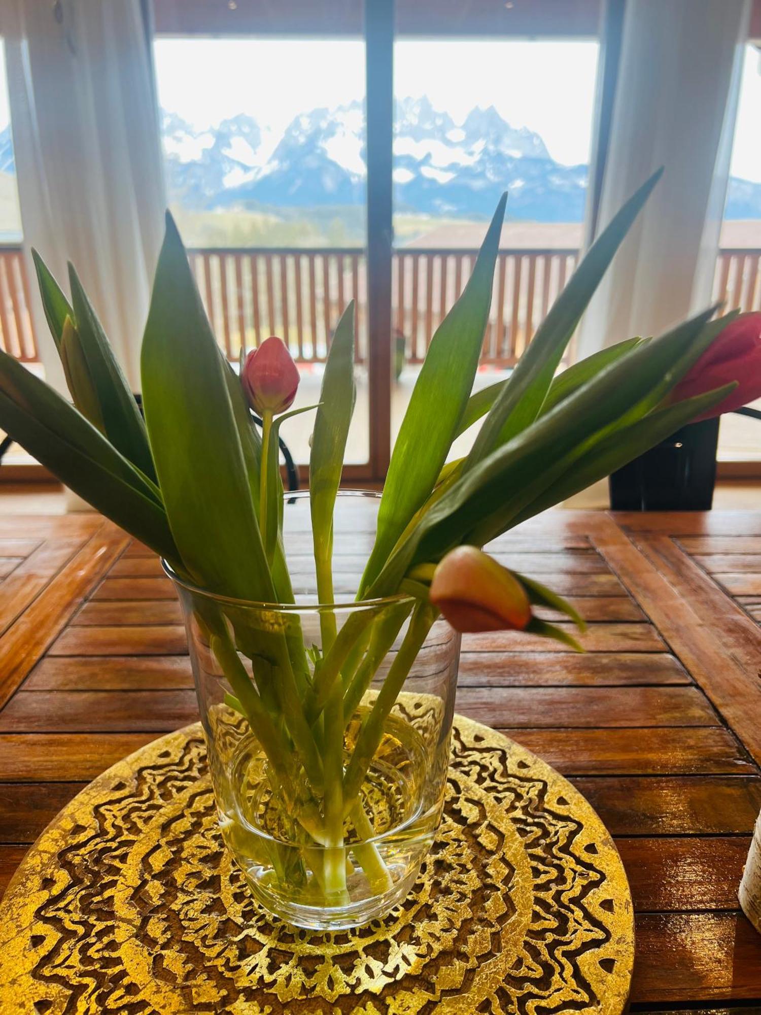 Mountain Vista - Bio Yoga Hof Lägenhet Kitzbühel Exteriör bild